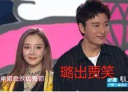 娱乐圈吃瓜大秘籍,一网打尽明星幕后秘闻与八卦风云