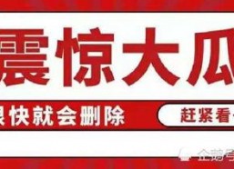 吃瓜娱乐百科大全免费阅读,吃瓜娱乐百科大全免费阅读全解析