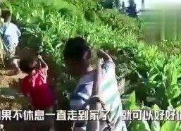 贵阳娱乐吃瓜事件视频最新,吃瓜群众视角下的最新视频揭秘