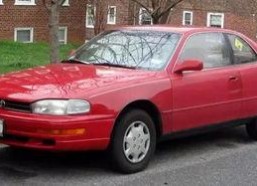 吃瓜娱乐圈camry,揭秘Camry的瓜田传奇