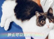 娱乐圈吃瓜磕cp,CP甜蜜互动大盘点