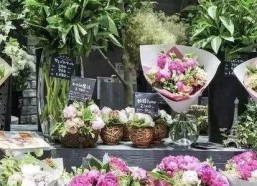 娱乐吃瓜酱花店,吃瓜酱花店背后的秘密花园